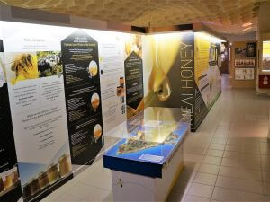 Rhodes Tours, Bee museum